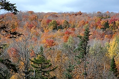 C5D_048980