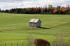 C5D_048983