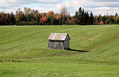 C5D_048984