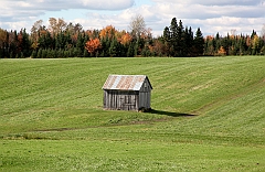 C5D_048985
