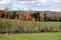 C5D_048986