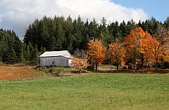C5D_048989