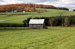 C5D_048990