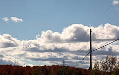C5D_048995