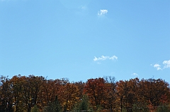C5D_048996