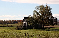 C5D_050860