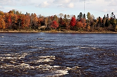 C5D_050869