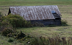 C5D_050870