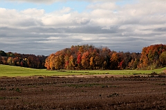C5D_050871