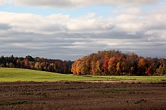 C5D_050872