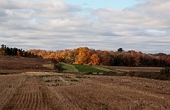 C5D_050873