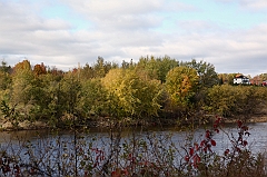 C5D_050875