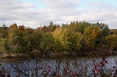 C5D_050876