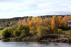 C5D_050877