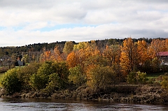 C5D_050878
