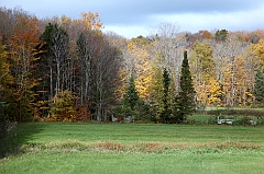 C5D_050883