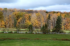 C5D_050884