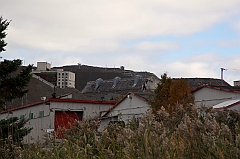 C5D_050893