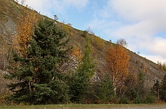 C5D_050896
