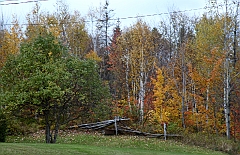 C5D_050900