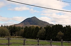 C5D_050901