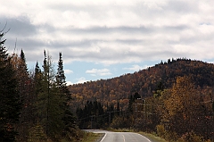 C5D_050904