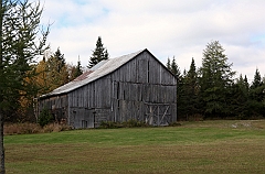 C5D_050905