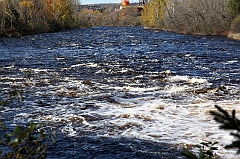 C5D_050917