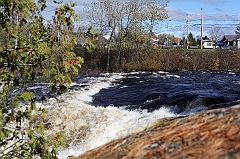 C5D_050918
