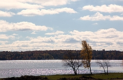 C5D_050921
