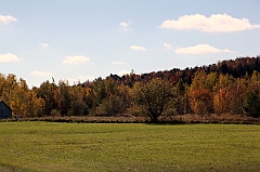 C5D_050923