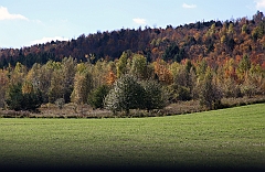 C5D_050924