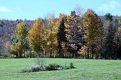 C5D_050925