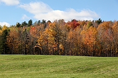 C5D_050926