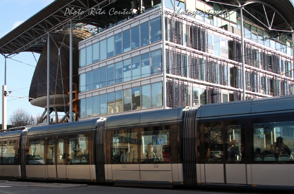 C5D_057255.JPG