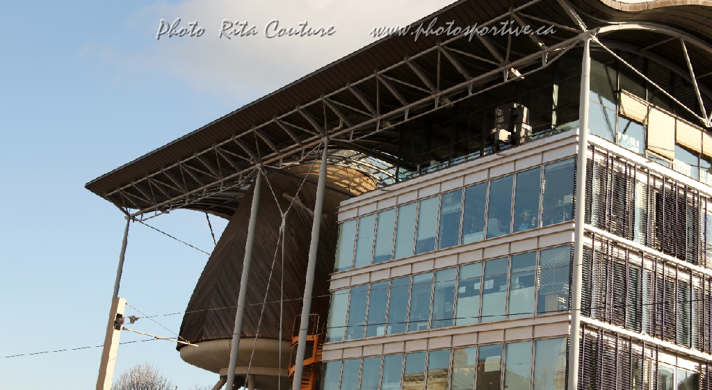 C5D_057256.JPG