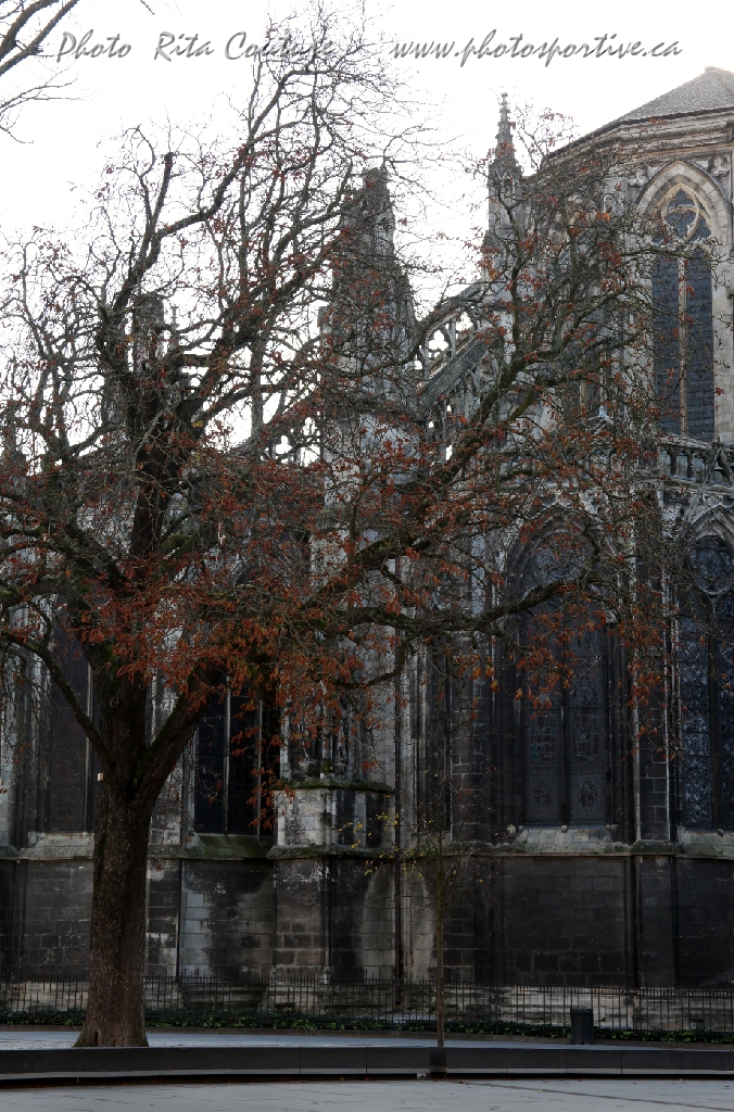 C5D_057286.JPG