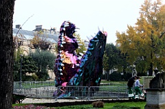 C5D_057341