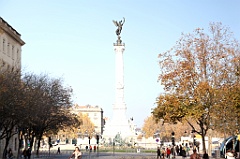 C5D_057381
