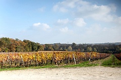 C5D_057387