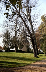 C5D_057390