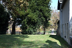 C5D_057391