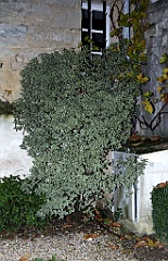 C5D_057608