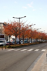 C5D_057779