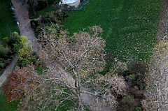 C5D_057923
