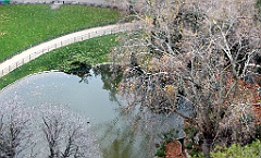 C5D_057940