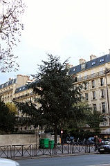 C5D_058074