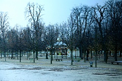 C5D_058108