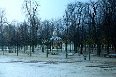 C5D_058109