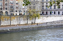 C5D_058281